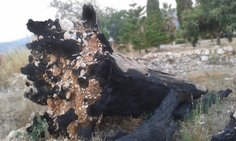 Objeto encontrado: madera quemada y piedra
